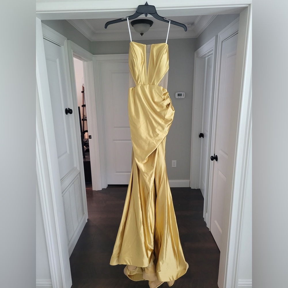 Gorgeous Ava Presley gold strapless dress with sheer cutouts.
